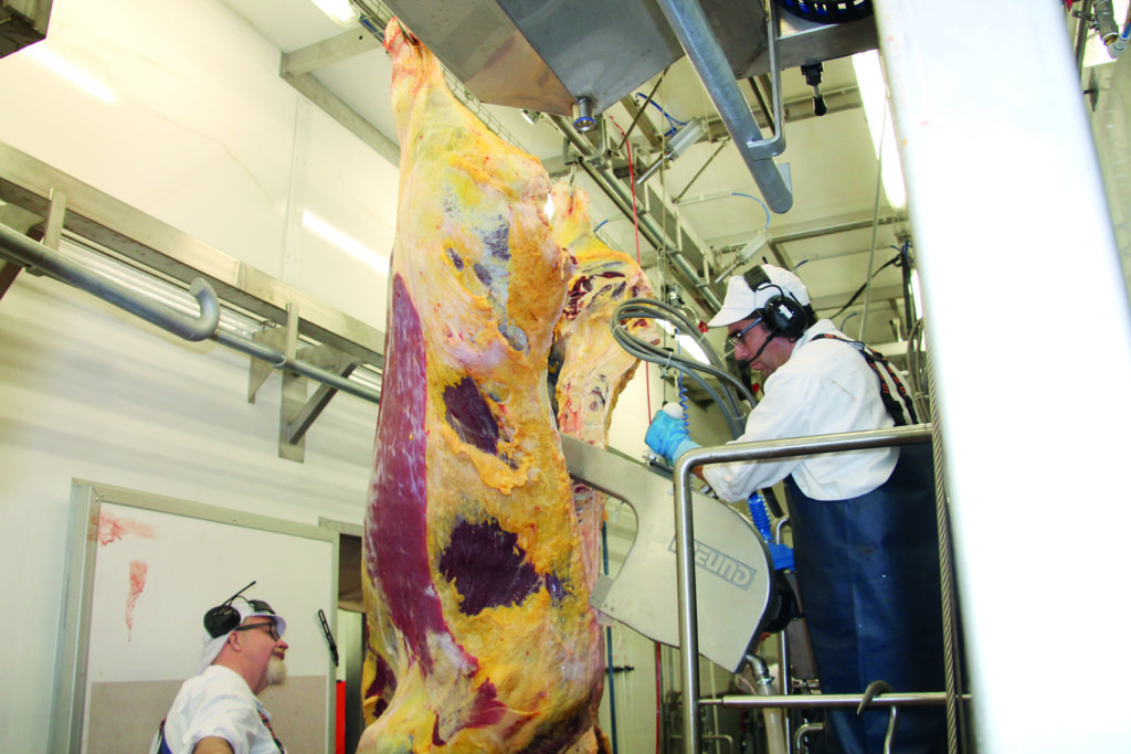 Kometos cattle slaughterhouse in operation